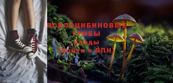 индика Армянск