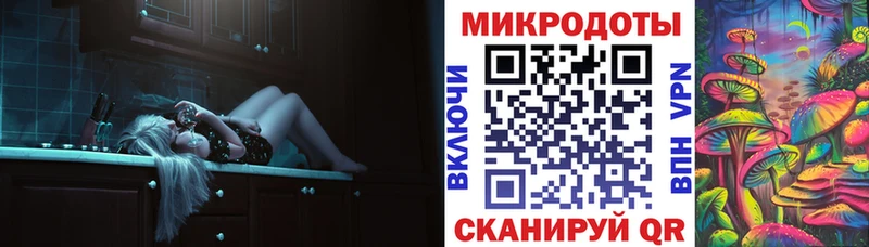 дарнет шоп  Магас  Галлюциногенные грибы мицелий 